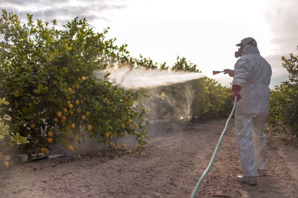 Trusted Kirtland Af, NM Pest Control Experts
