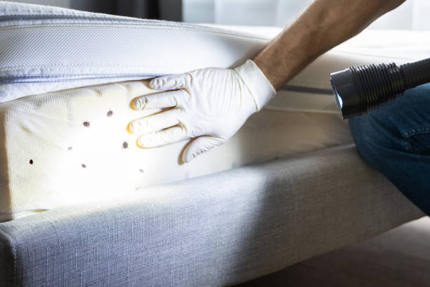 Pest Control for Restaurants in Kirtland Af, NM